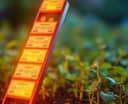 Using a Savings Ladder to Grow Your Wealth Safely